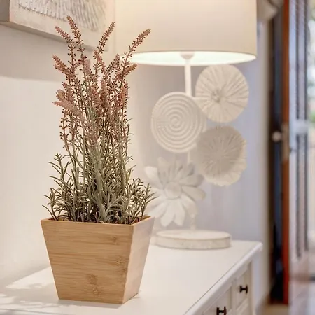 Apartamento Buganvilia Sea Appartamento Alcúdia